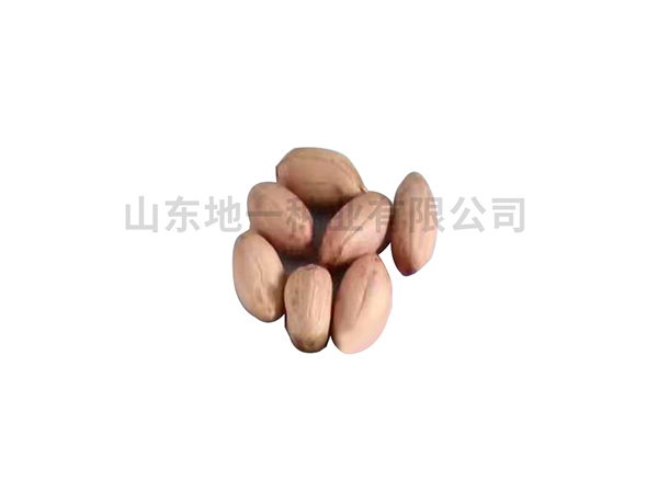 濰花22號種子